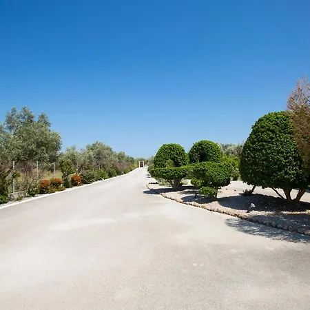 Serenity Sea-view Daire *