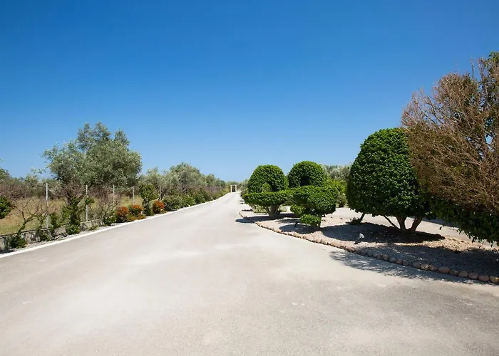 Serenity Sea-view Daire *