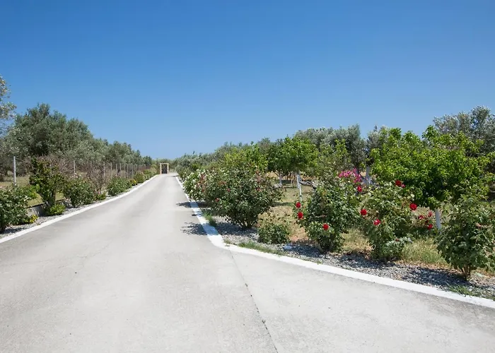 Serenity Sea-view Daire