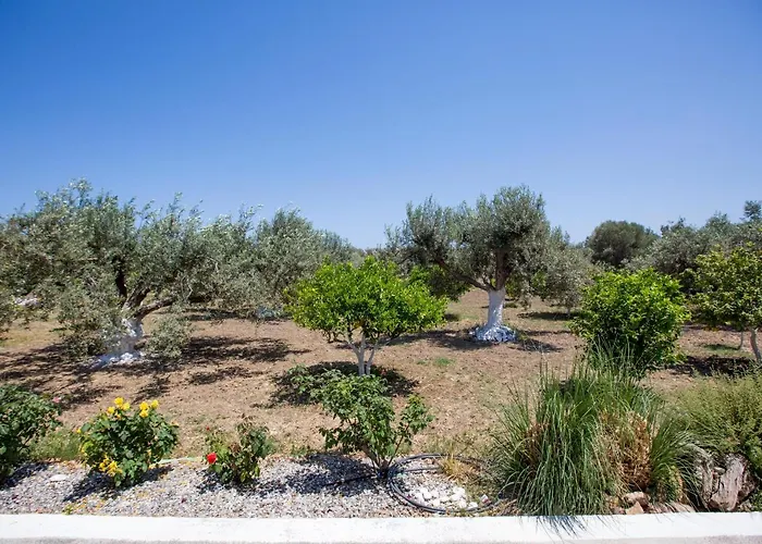 Serenity Sea-view Daire *