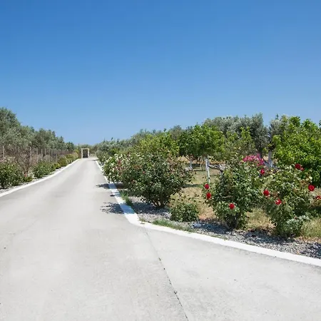 Serenity Sea-view Appartement